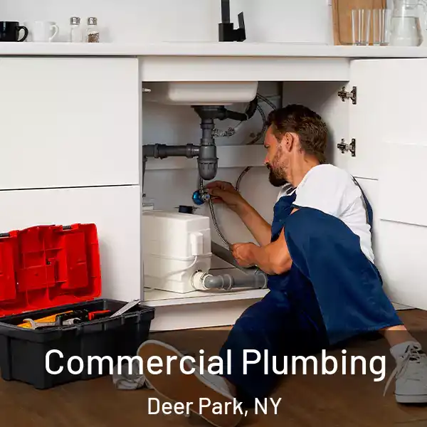  Commercial Plumbing Deer Park, NY