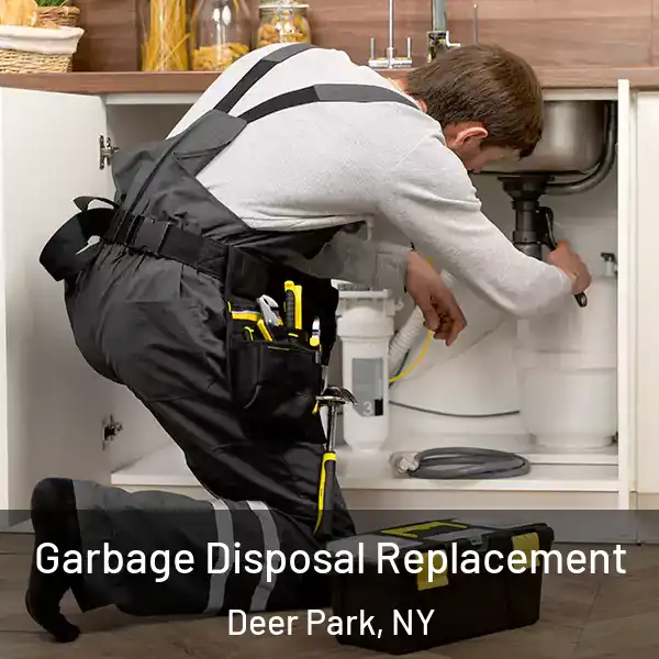  Garbage Disposal Replacement Deer Park, NY