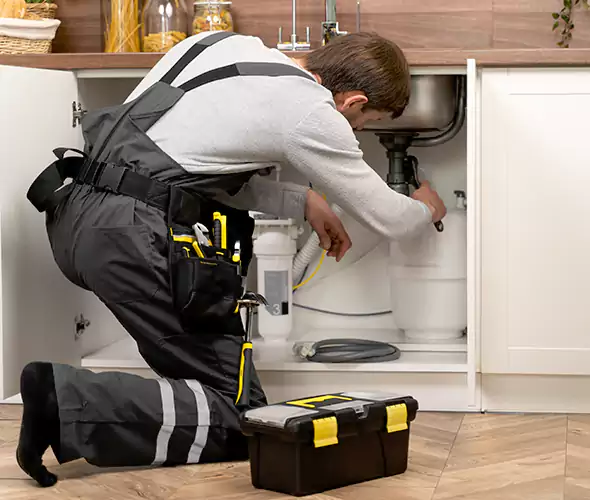 Certified Plumbers for Insinkerator Installation in Deer Park