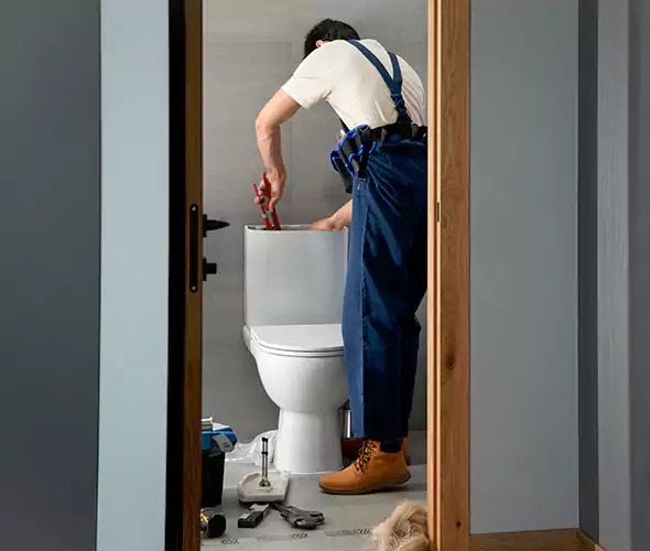 Professional Plumbers for Toilet Bowl Replacement in Deer Park, NY: Schedule Affordable Toilet Replacement Services With Us