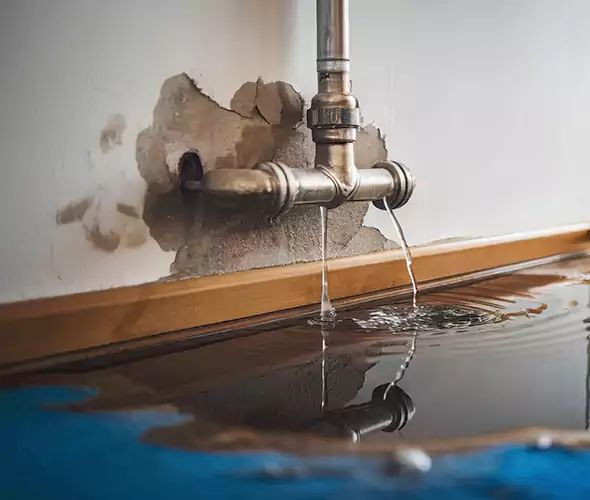 Professional Water Damage Restoration Experts in Deer Park, NY — Fast, Reliable & Certified