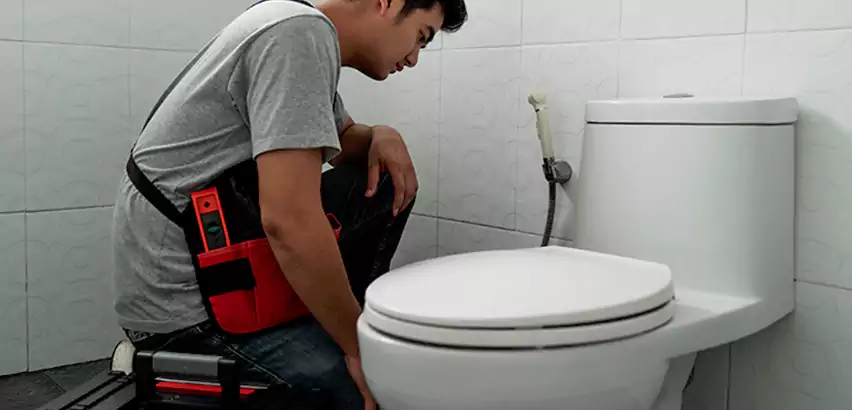 Toilet Repair in Deer Park