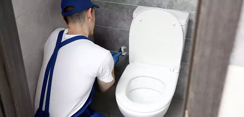 Toilet Lid Replacement in Deer Park
