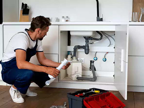 Why Choose Plumbing Deer Park Texas for Insinkerator Installation in Deer Park, NY?