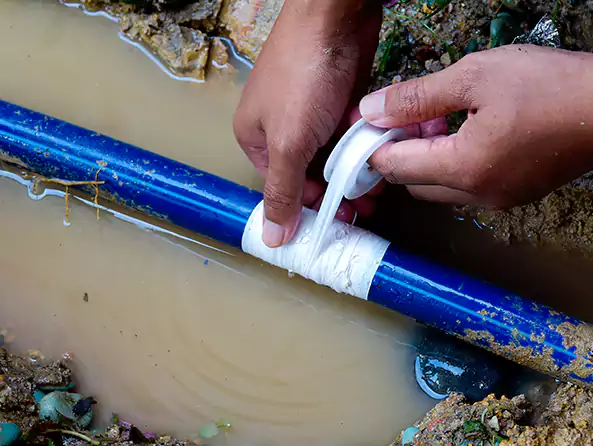  Why Choose Plumbing Deer Park Texas for Leak Detection in Deer Park, NY?]