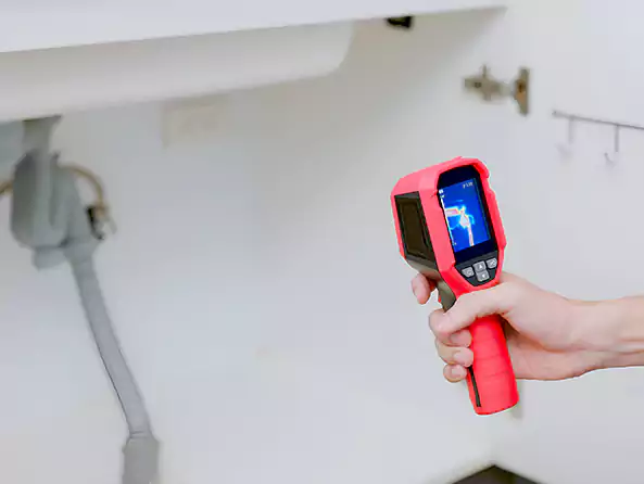 Why Choose Plumbing Deer Park Texas for Slab Leak Detection in Deer Park, NY?