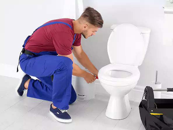 Why Choose Plumbing Deer Park Texas for Toilet Installation in Deer Park, NY?