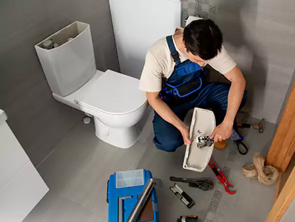 Why Choose Plumbing Deer Park Texas for Toilet Repair in Deer Park, NY?