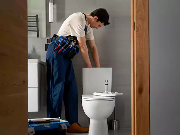 Why Choose Plumbing Deer Park Texas for Toilet Replacement in Deer Park, NY?