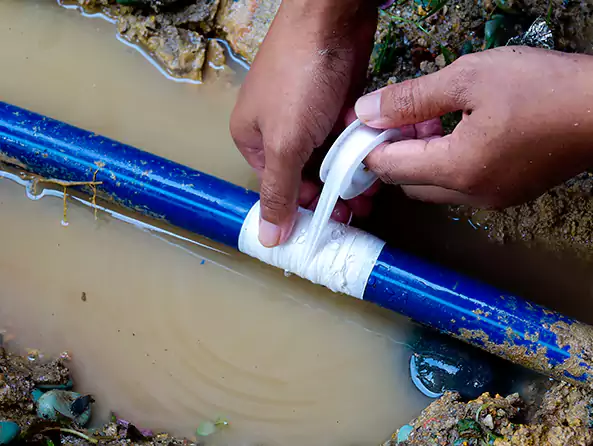  Why Choose Plumbing Deer Park Texas for Water Line Repair in Deer Park, NY?]