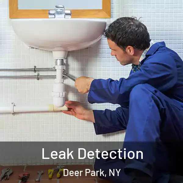  Leak Detection Deer Park, NY
