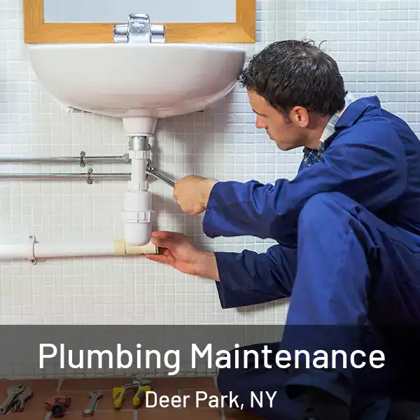  Plumbing Maintenance Deer Park, NY