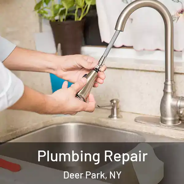  Plumbing Repair Deer Park, NY