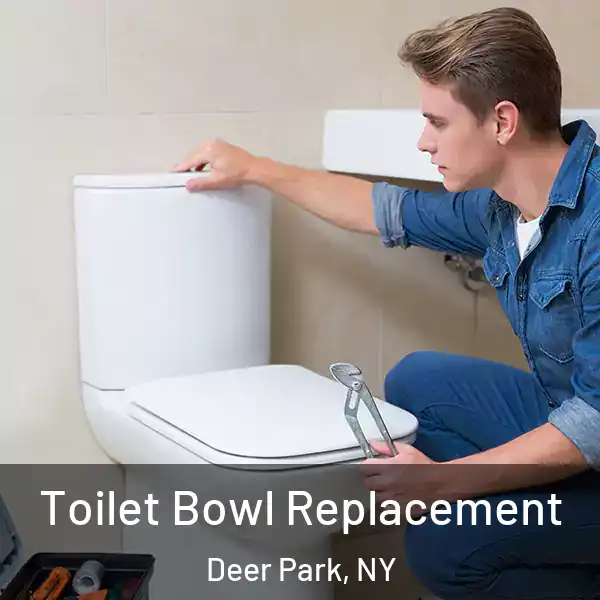  Toilet Bowl Replacement Deer Park, NY