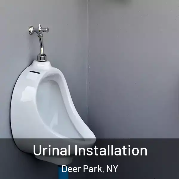  Urinal Installation Deer Park, NY