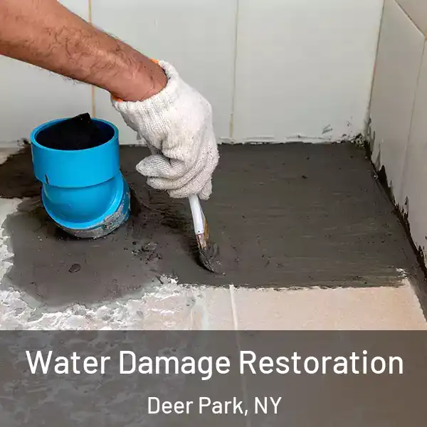  Water Damage Restoration Deer Park, NY