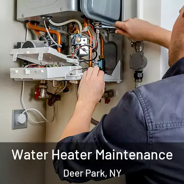  Water Heater Maintenance Deer Park, NY