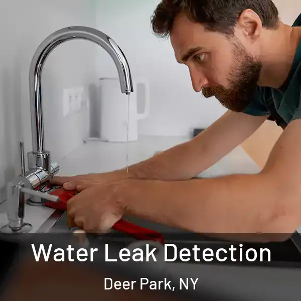  Water Leak Detection Deer Park, NY